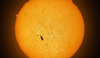 an image by Andrew McCarthy of a skydiver falling in front of the sun