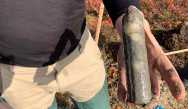 burger icon