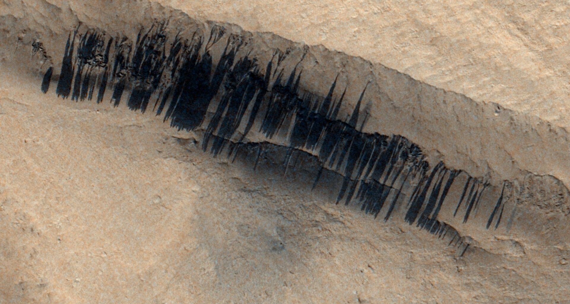 A series of black streaks across a brown sandy surface