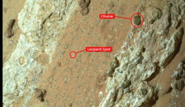 Nasa’s Perseverance Rover Discovered Leopard Spots On A Reddish Rock Nicknamed “cheyava Falls” In Mars’ Jezero Crater In July 2024