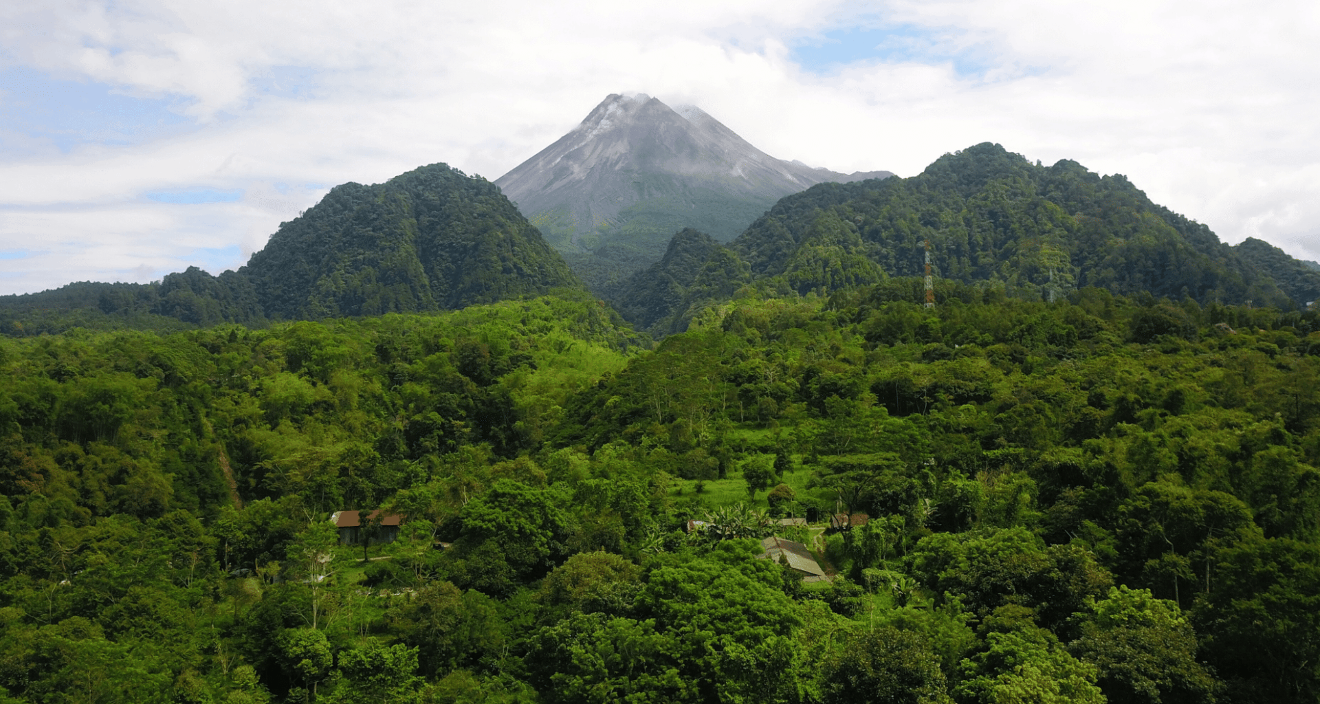 New Dna Evidence Suggests Extinct Apex Predator May Still Roam Java’s Forests