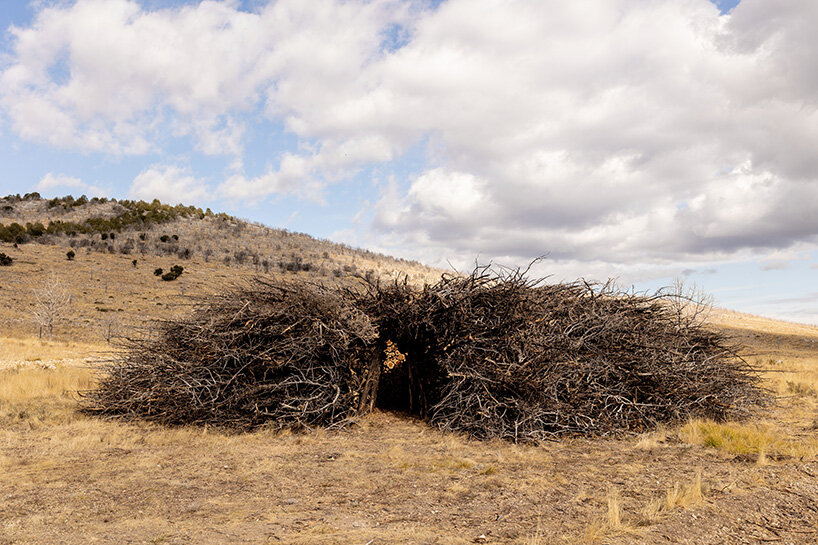 nomad studio's charred juniper ring marks the scar of a wildfire in northern spain
