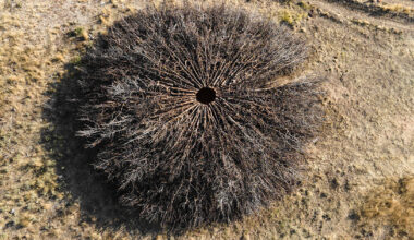 nomad studio's juniper ring marks the scar of a wildfire in spain