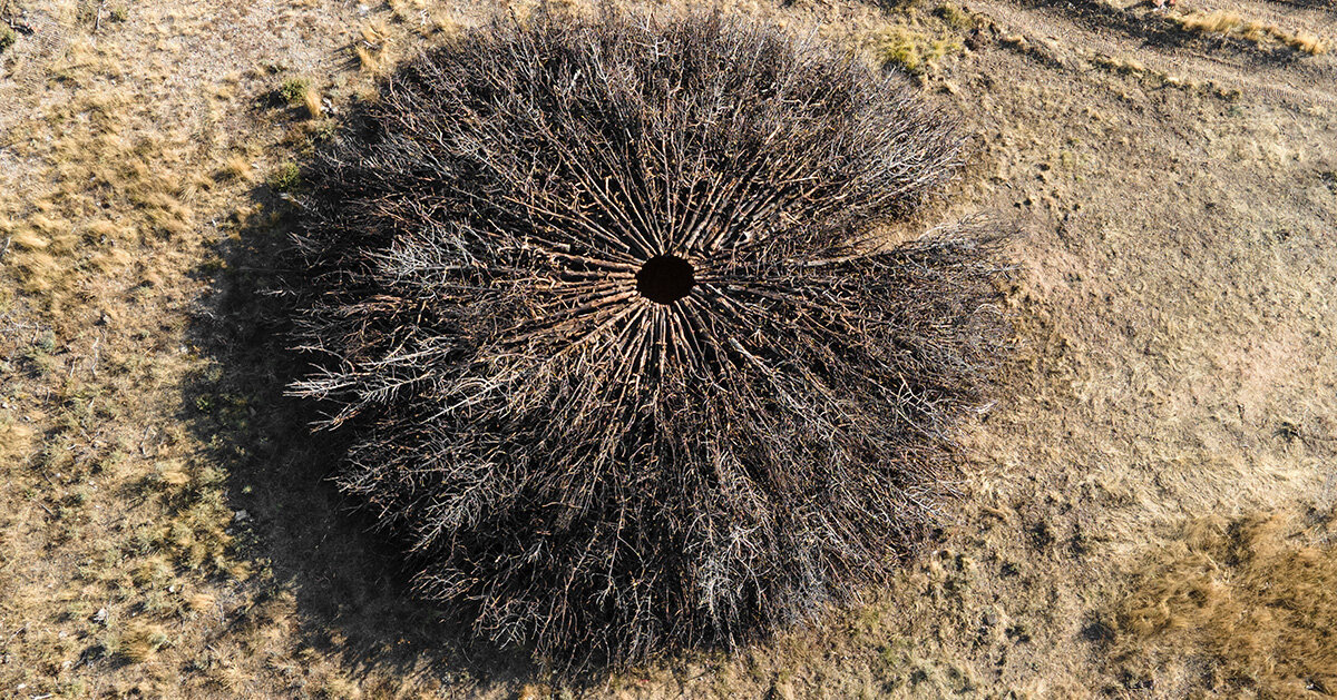 nomad studio's juniper ring marks the scar of a wildfire in spain