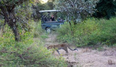 BBC One - Kingdom - Making Kingdom