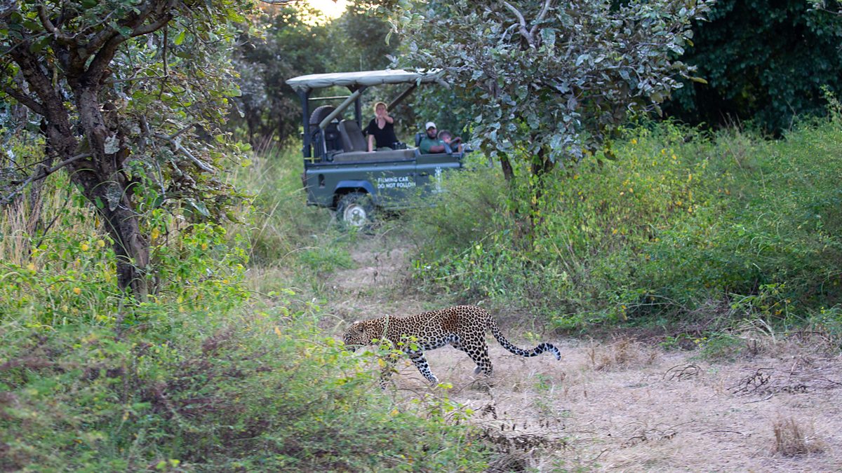 BBC One - Kingdom - Making Kingdom