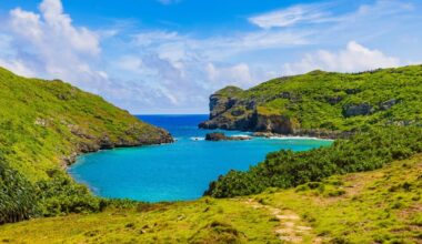 Renaissance pigeons and cats