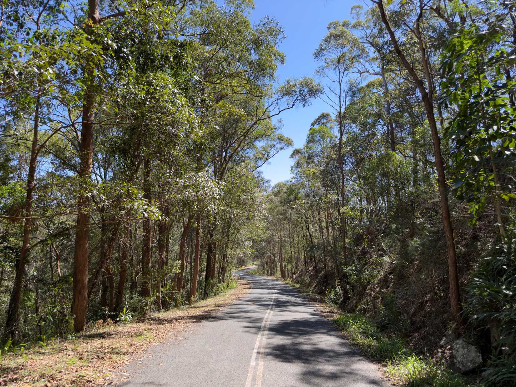Road pre-infrared image.