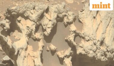 Perseverance's discovery highlights the rover’s ongoing mission to study Mars’ geology, search for signs of ancient life, and collect samples for future return missions. (Image: NSA website)