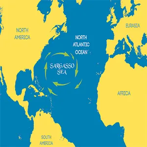 Location map of the island of Bermuda and the Sargasso Sea. Click image to enlarge.