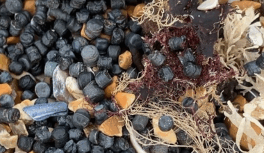 Dark grey or black bio-beads have washed up. Pic: Strandliners/Facebook