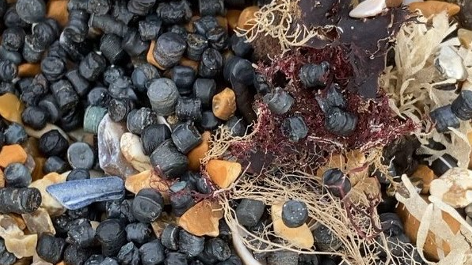 Dark grey or black bio-beads have washed up. Pic: Strandliners/Facebook