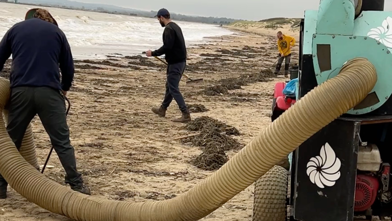 People working to clean up Camber Sands. Pic: Strandliners/Facebook