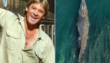 Crocodile Brought to Steve Irwin’s Australia Zoo, Upsetting Indigenous and Conservation Groups
