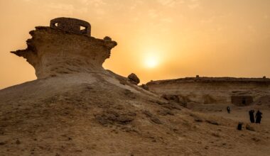Over the last few decades, Qatar has made huge strides in conservation, allowing its wildlife to flourish.