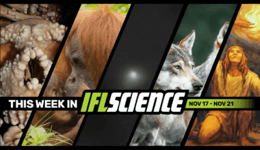 First-Ever Look At Neanderthal Nasal Cavity Shatters Expectations, NASA Reveals Comet 3I/ATLAS Images From 8 Missions, And Much More This Week