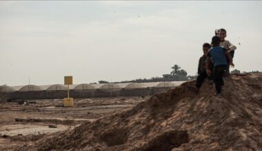 Israeli army committed 194 violations of Gaza ceasefire since Oct. 10: Media office