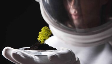 Tiny Plant In Space (illustrative Image)