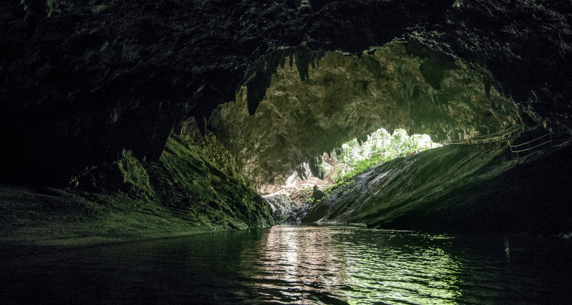 Two Dragon Like Creatures Just Emerged From Thailand’s Caves