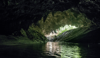 Two Dragon Like Creatures Just Emerged From Thailand’s Caves