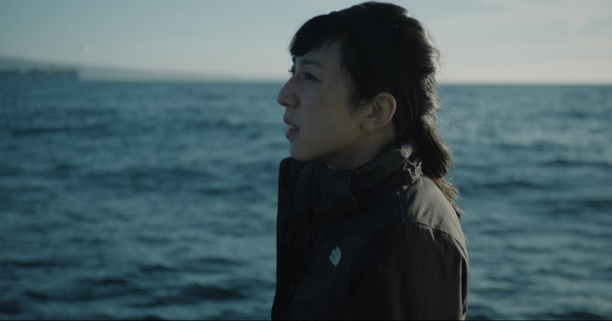 'Out of Plain Sight' review: Exposé of improper DDT dump goes to ocean floor