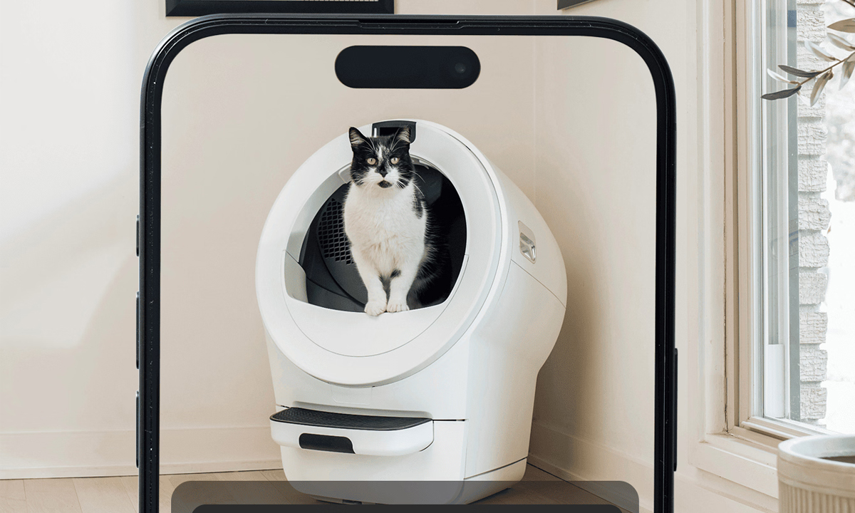 The Weekender: Robots Are Everywhere (Even at the Litter Box)