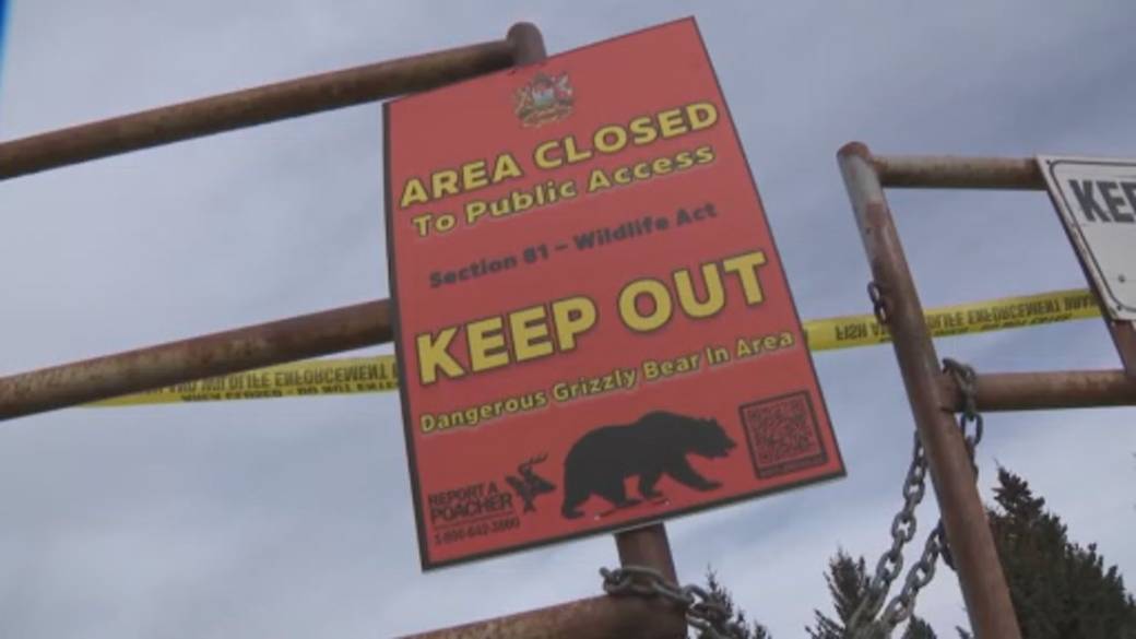 Click to play video: 'Alberta hunter recalls own grizzly bear close call, urges hunting safety'