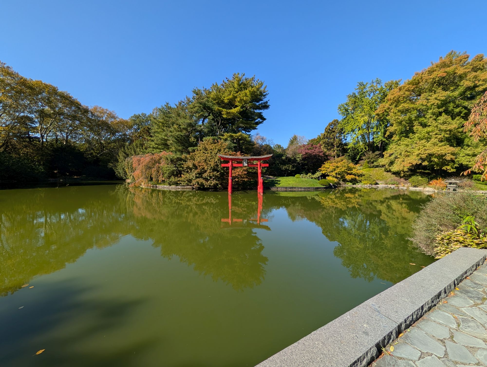 Google Pixel 10 Pro XL ultrawide sample.