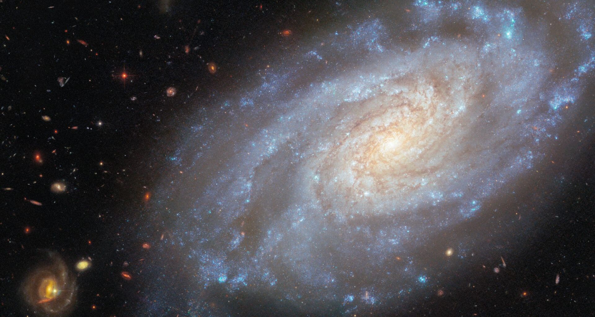 spiral galaxy occupies most of the image. It is a slightly tilted disc of stars, yellow-white in the centre and blue in the outskirts, showing light from different stars in the galaxy. Its spiral arms curl outwards from the centre, speckled with blue star clusters. Dark reddish threads of dust swirl around the galaxy&rsquo;s centre. The backdrop is two medium-sized and many small, distant galaxies on a black background.