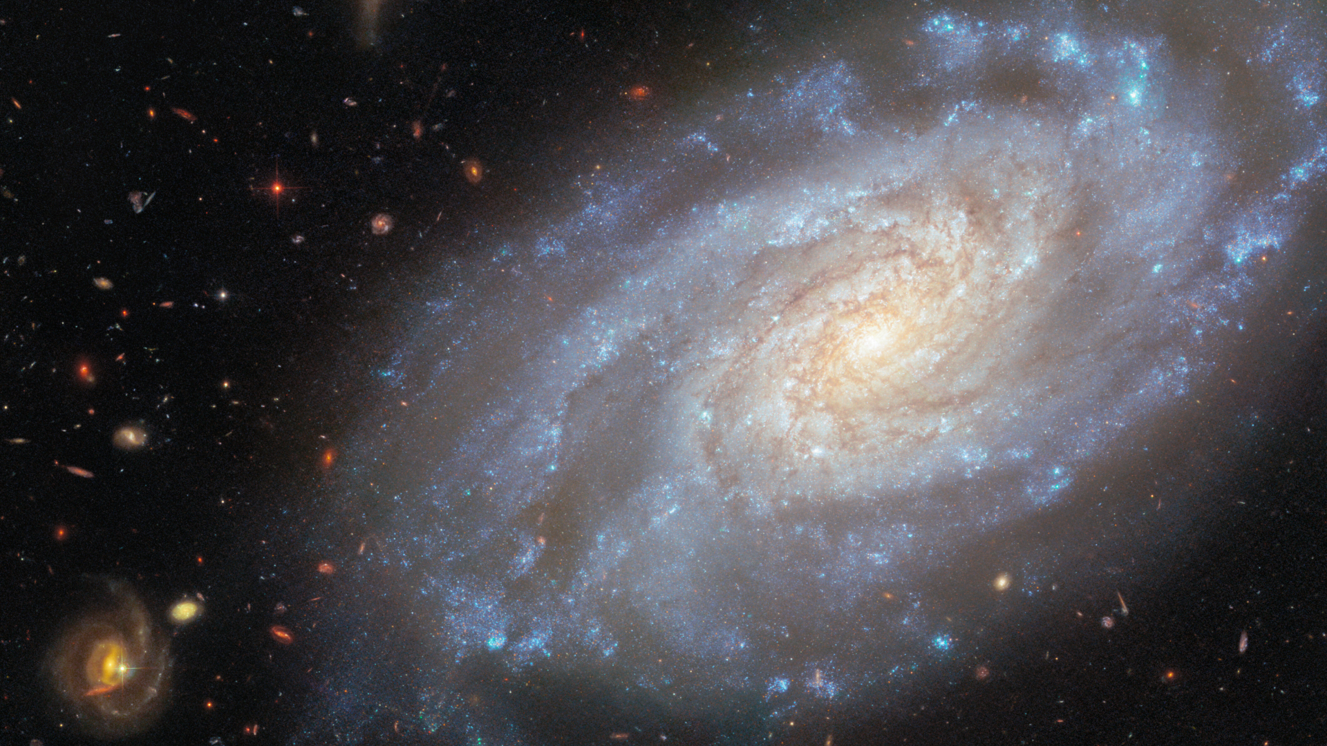 spiral galaxy occupies most of the image. It is a slightly tilted disc of stars, yellow-white in the center and blue in the outskirts, showing light from different stars in the galaxy. Its spiral arms curl outwards from the center, speckled with blue star clusters. Dark reddish threads of dust swirl around the galaxy&rsquo;s center. The backdrop is two medium-sized and many small, distant galaxies on a black background.