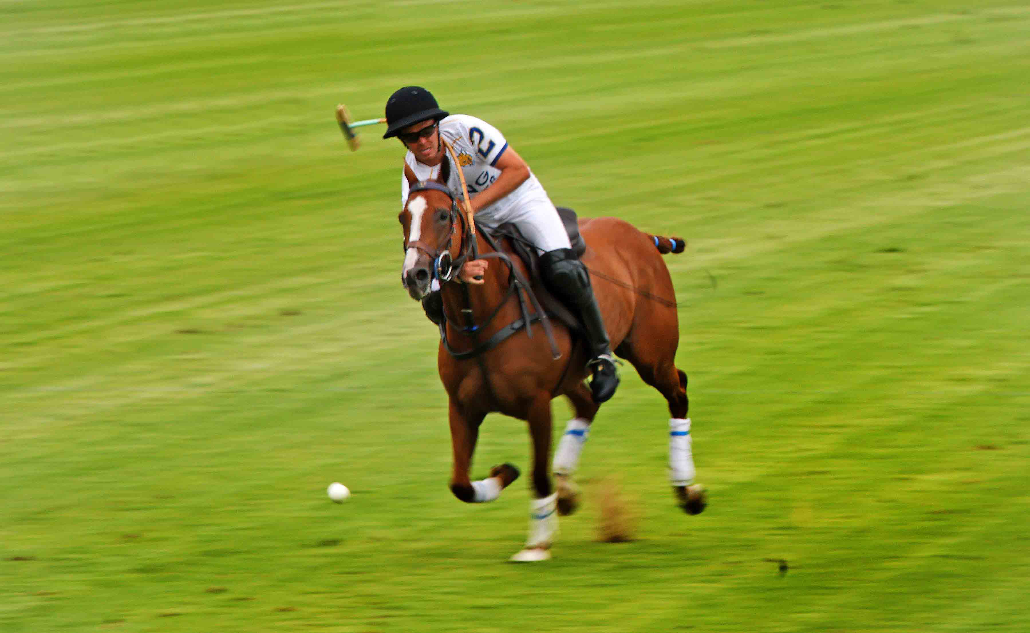 A polo player on a brown horse, wearing a black helmet and white shirt, swings their mallet at a white ball on a green grass field.