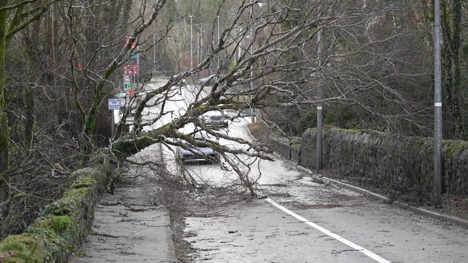 Extreme weather events to become more frequent in Ireland