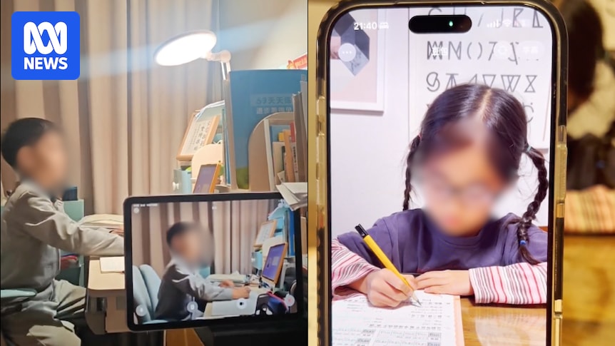 Parents in China use AI technology to monitor children's homework