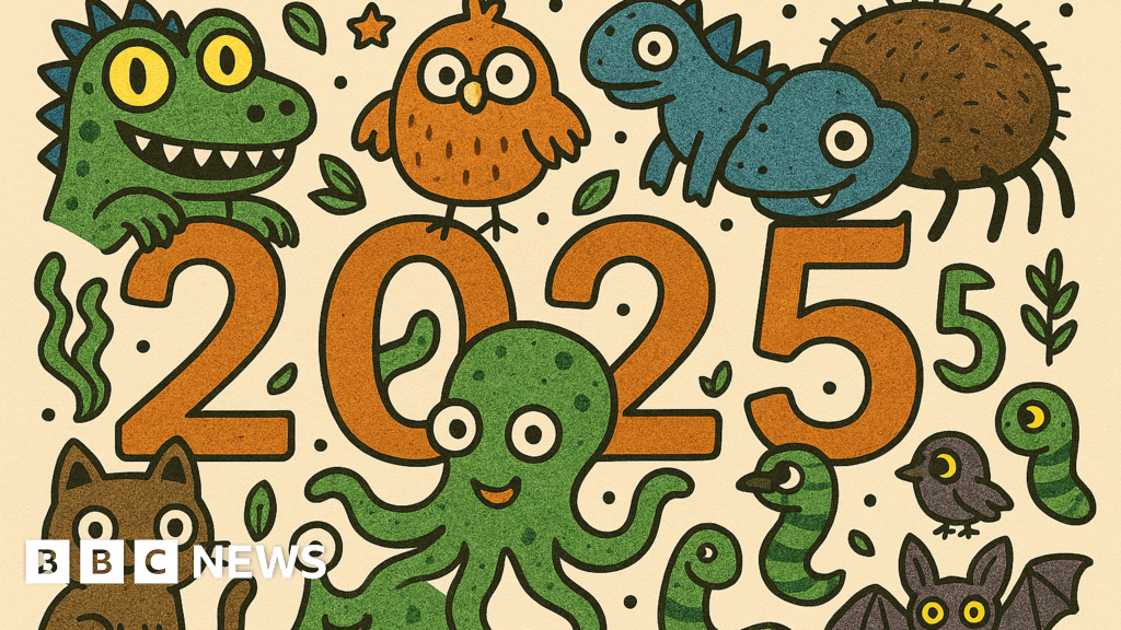 Quiz of the week: What's the animal of the year? - BBC