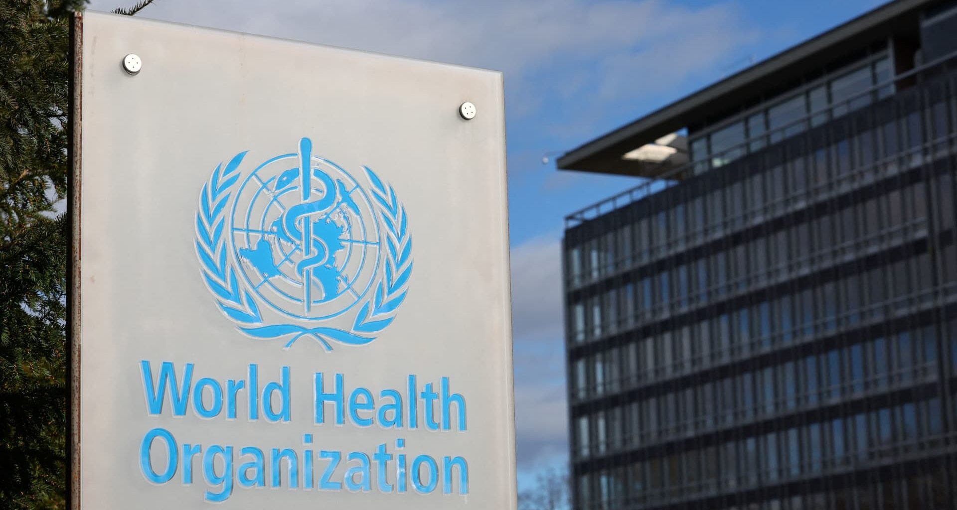 WHO backs use of GLP-1 therapies for obesity, warns access will remain limited