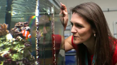 Michelle Taylor Dr Michelle Taylor has long brown hair and is wearing a red top. She is looking at a large fish tank that has an orange clownfish swimming near her head.
