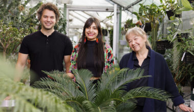 Nicholas Bellono (from left), a professor of Molecular and Cellular Biology, Wendy Valencia Montoya, a junior fellow of the Society of Fellows, and Naomi Pierce, the Sidney A. and John H. Hessel Professor of Biology, are seen near a cycad plant in the Biological Laboratory greenhouse. New research from the group, which will be published in the journal Science, revealed how the plant heats up its reproductive organs to attract beetles, which in turn facilitate pollination. Bellono and Pierce served as advisors for Montoya’s doctoral work, which she recently completed. Pierce is also a senior fellow of the Society of Fellows and curator of lepidoptera. Bellono serves as principal investigator of the Bellono Lab. Veasey Conway/Harvard Staff Photographer