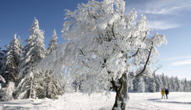 Is the winter of the century coming? Experts see chance of Arctic cold spells