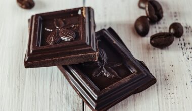 Chemical in dark chocolate may help slow ageing, new study finds