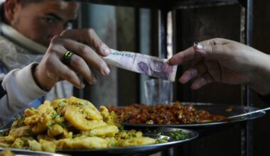 Pasta à la army: How influential is military's stake in Egypt's economy?