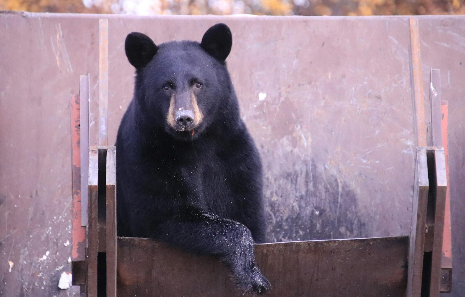 Markets end the week in the red as Broadcom and Oracle concerns drag the entire AI trade down