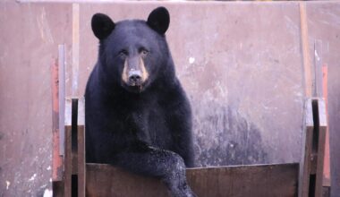 Markets end the week in the red as Broadcom and Oracle concerns drag the entire AI trade down