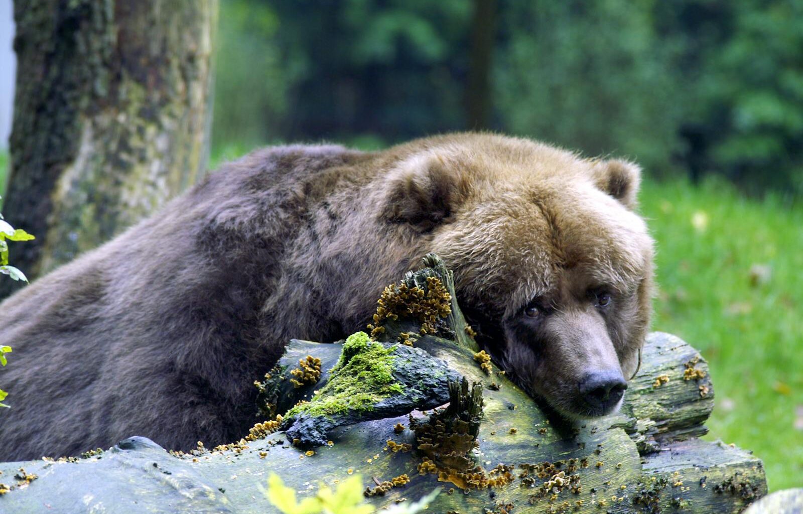 Markets slump as AI trade tumbles