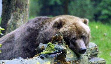 Markets slump as AI trade tumbles