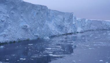 “The final judgment” - scientists warn after detecting hundreds of earthquakes beneath this glacier that could cause a catastrophe - how it affects us