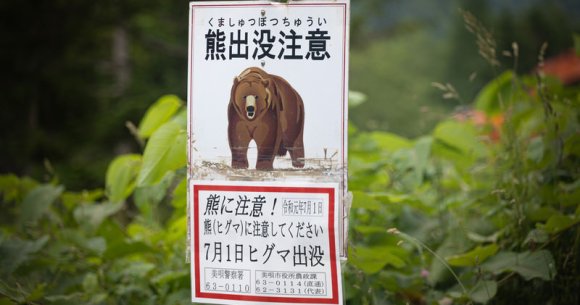 Security guard jumped by bear at public restroom in middle of Numata City