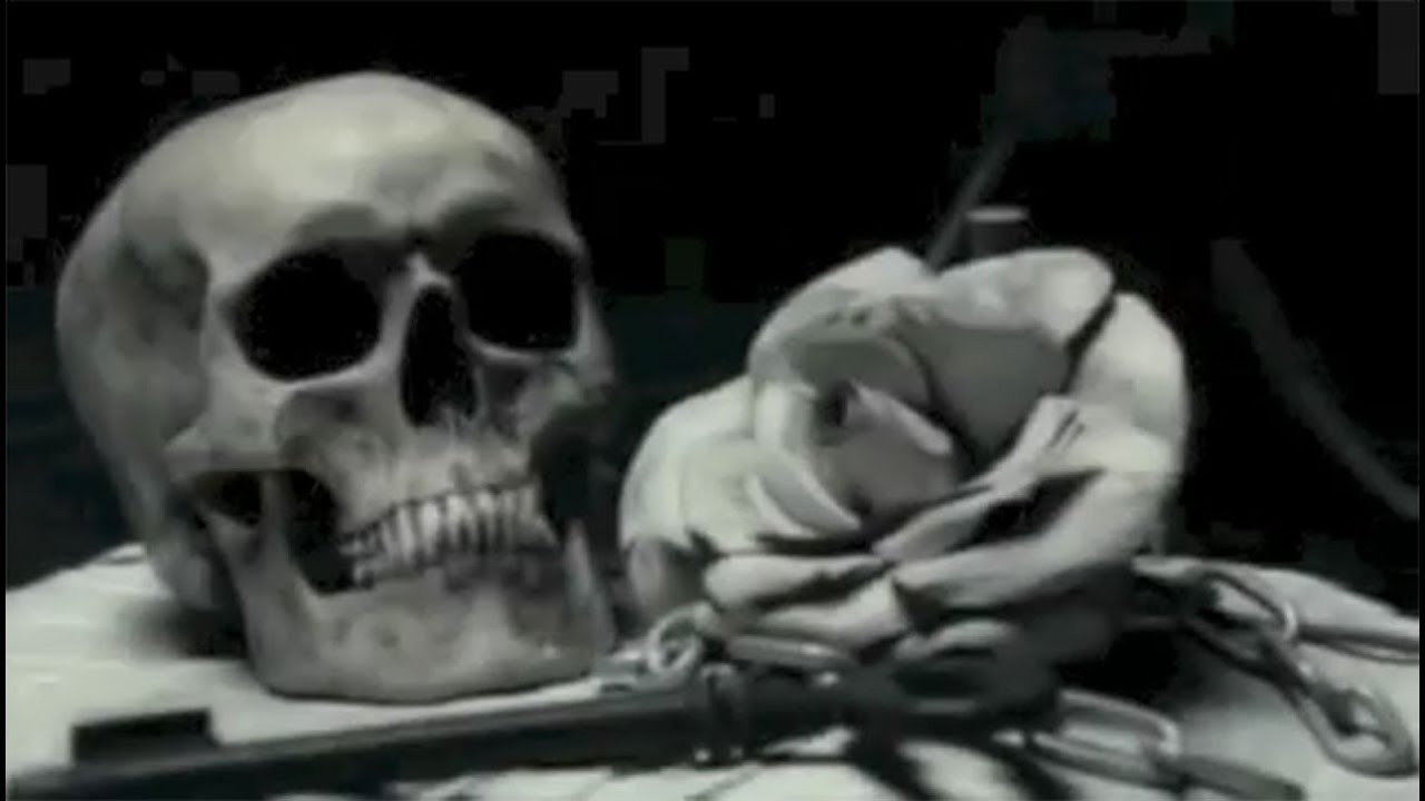 Cradle Of Filth - Nymphetamine Fix [OFFICIAL VIDEO] - YouTube
