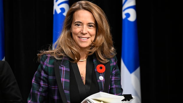 Experts warn merger of 2 Quebec health agencies could undermine public health