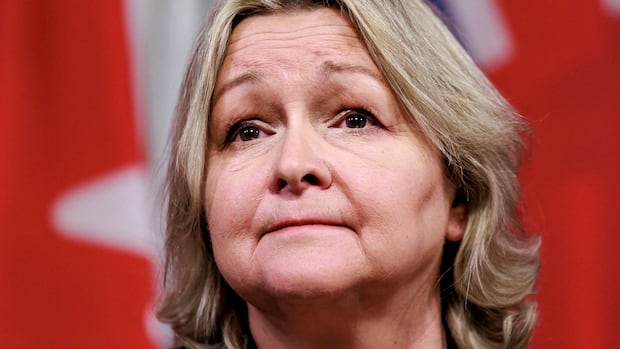 Ontario auditor general's annual report to examine province's health-care system