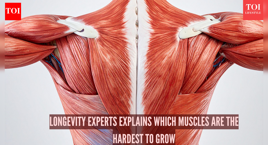Which are the toughest muscles to grow and why? Longevity expert explains